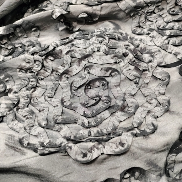 NWT R & M Richards Iridescent Silver Embroidered Fit & Flare Midi Dress Sz. 6 - Picture 2 of 14